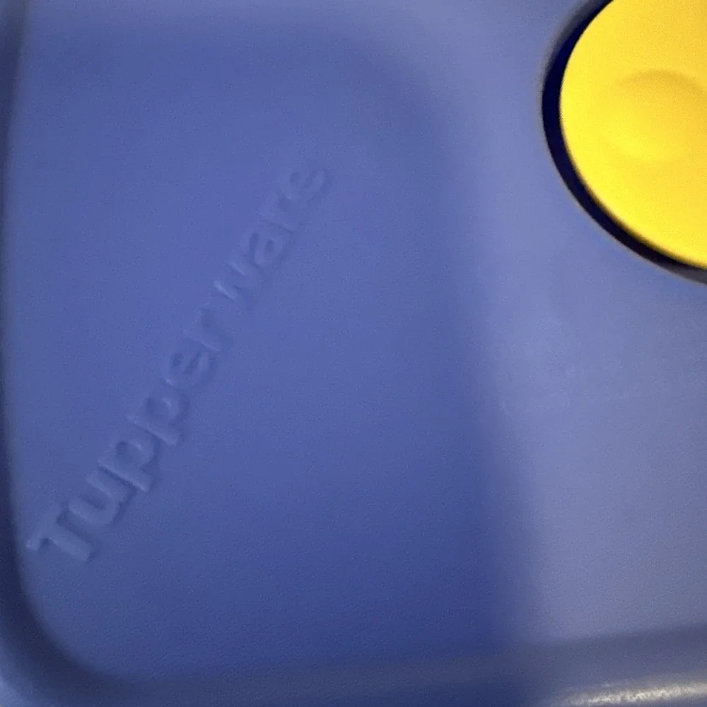Tupperware Rock N Serve 2½‎ Cups Blue Container with Lid Vent Square 3385